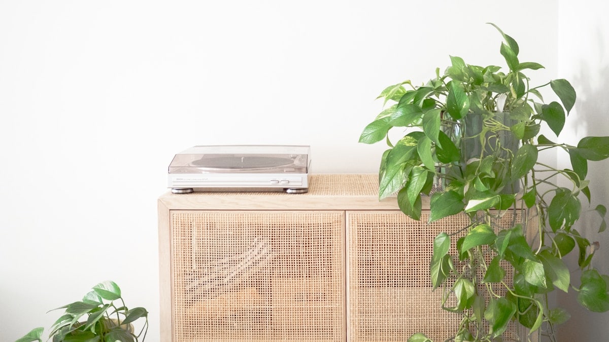 white split type air conditioner beside green plant